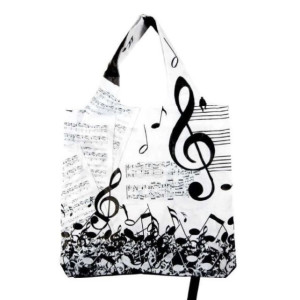 Folding music bag